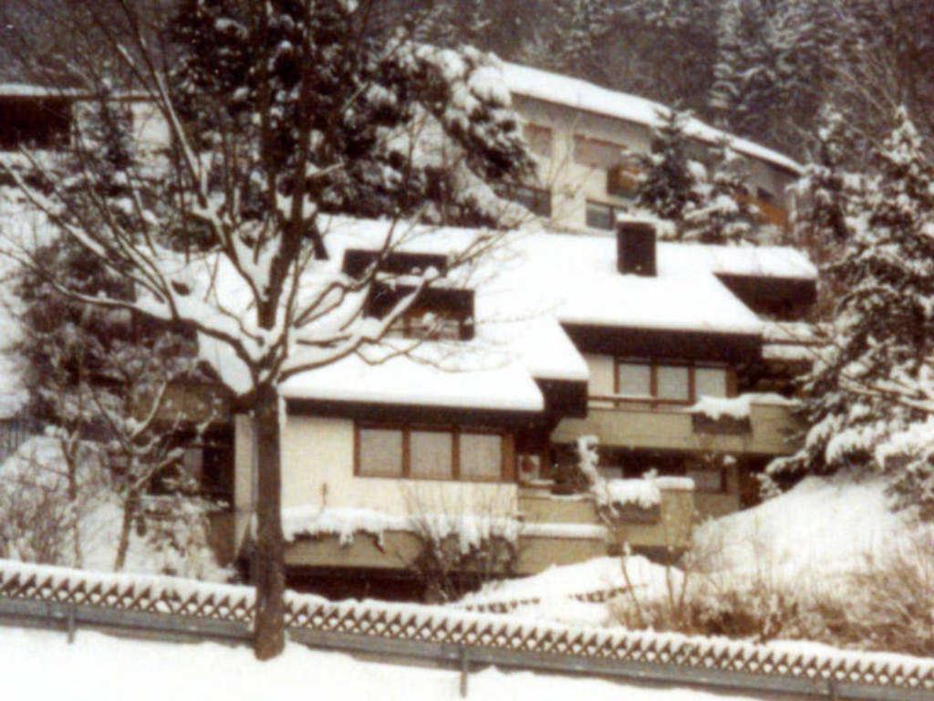 Appartement Haus Sonnenhang à Todtnau Extérieur photo